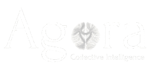 agora innovation logo